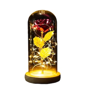 Foto 1 | Rosa Eterna con Luz Led Malubero