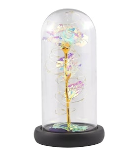 Foto 1 | Botella Flor Rosa Eterna con Luz Led Multicolor