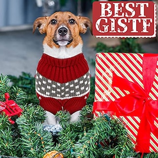 Foto 5 | Suéteres Frienda Para Perros, Navidad, Halloween, Nieve, Pequeños, 4 Unidades - Venta Internacional.
