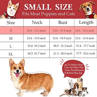 Foto 6 | Suéteres Frienda Para Perros, Navidad, Halloween, Nieve, Pequeños, 4 Unidades - Venta Internacional.