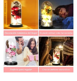 Foto 4 | Xtellar Rosa Eterna Artificiales Iluminada, Regalo Para Mujer Ideal