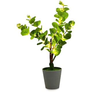 Foto 1 | Planta Artificial Con Luces Para Decoración De Sala, Oficina