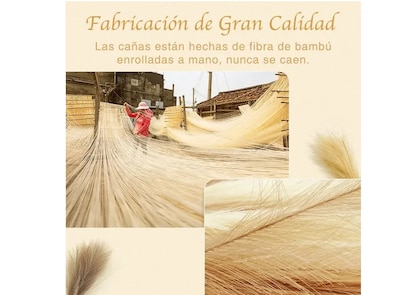 Foto 4 | Pampas Xtellar Secas Plantas Decorativas Flores Artificiales 6psc