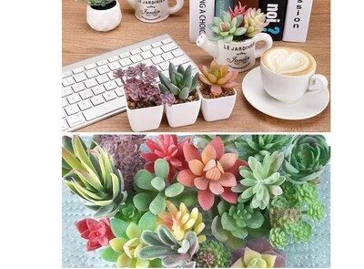 Foto 4 | Xtellar Plantas Artificiales Flores Suculentas 21 Pcs Decoración Planta Artificial