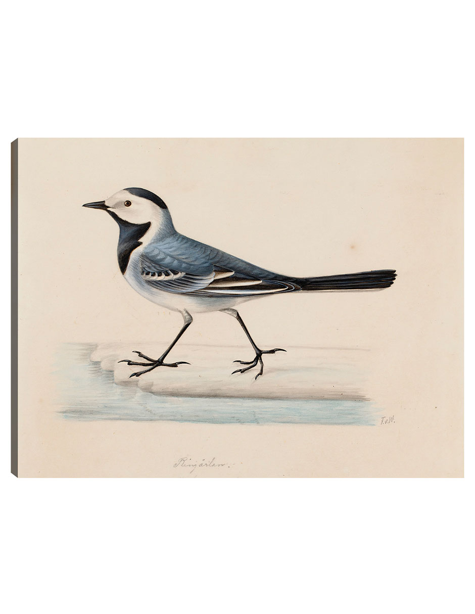 Foto 1 | Cuadro Decorativo - Lavandera Blanca- Ferdinand Von Wright - Religión - 46x61 - Impresión En Lienzo - Fine Art Tj