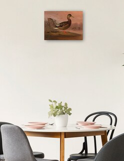 Foto 2 | Cuadro Decorativo - Ánade Real (1848)- Ferdinand Von Wright - Religión - 28x36 - Impresión En Lienzo - Fine Art Tj