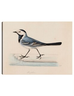 Foto 1 | Cuadro Decorativo - Lavandera Blanca- Ferdinand Von Wright - Religión - 69x92 - Impresión En Lienzo - Fine Art Tj