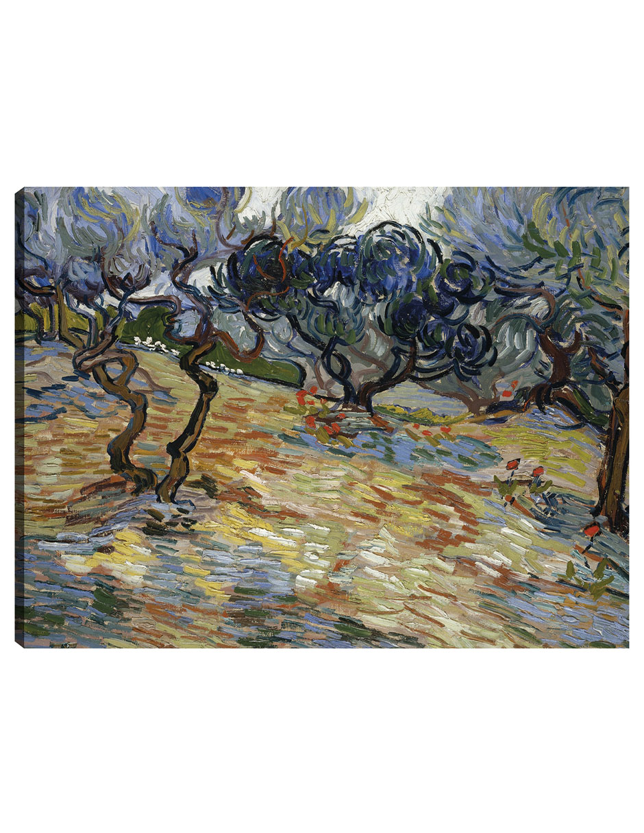 Cuadro Decorativo - Olivos- Vincent Van Gogh - Paisaje - 28x36 - Impresión En Lienzo - Fine Art Tj
