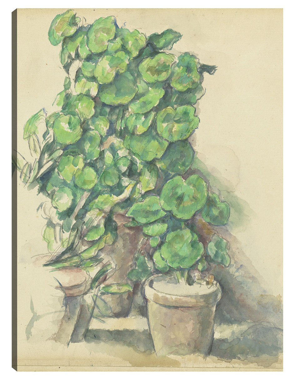 Cuadro Decorativo - Geranios (1888-1890)- Paul Cézanne - Floral - 69x92 - Impresión En Lienzo - Fine Art Tj