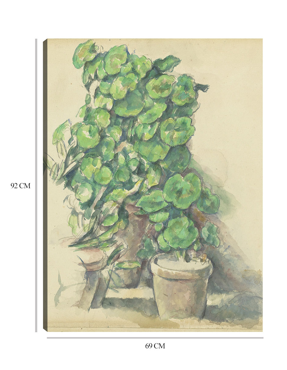 Foto 7 pulgar | Cuadro Decorativo - Geranios (1888-1890)- Paul Cézanne - Floral - 69x92 - Impresión En Lienzo - Fine Art Tj