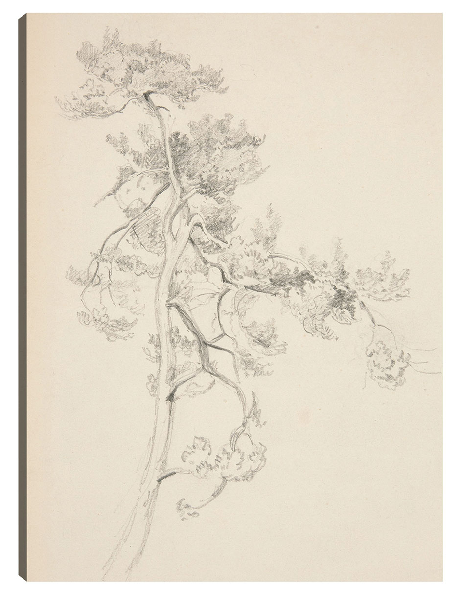 Foto 2 pulgar | Cuadro Decorativo - Árbol Y Follaje- John Singer Sargent - Abstracto - 28x36 - Impresión En Lienzo - Fine Art Tj