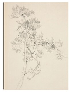 Foto 1 | Cuadro Decorativo - Árbol Y Follaje- John Singer Sargent - Abstracto - 28x36 - Impresión En Lienzo - Fine Art Tj