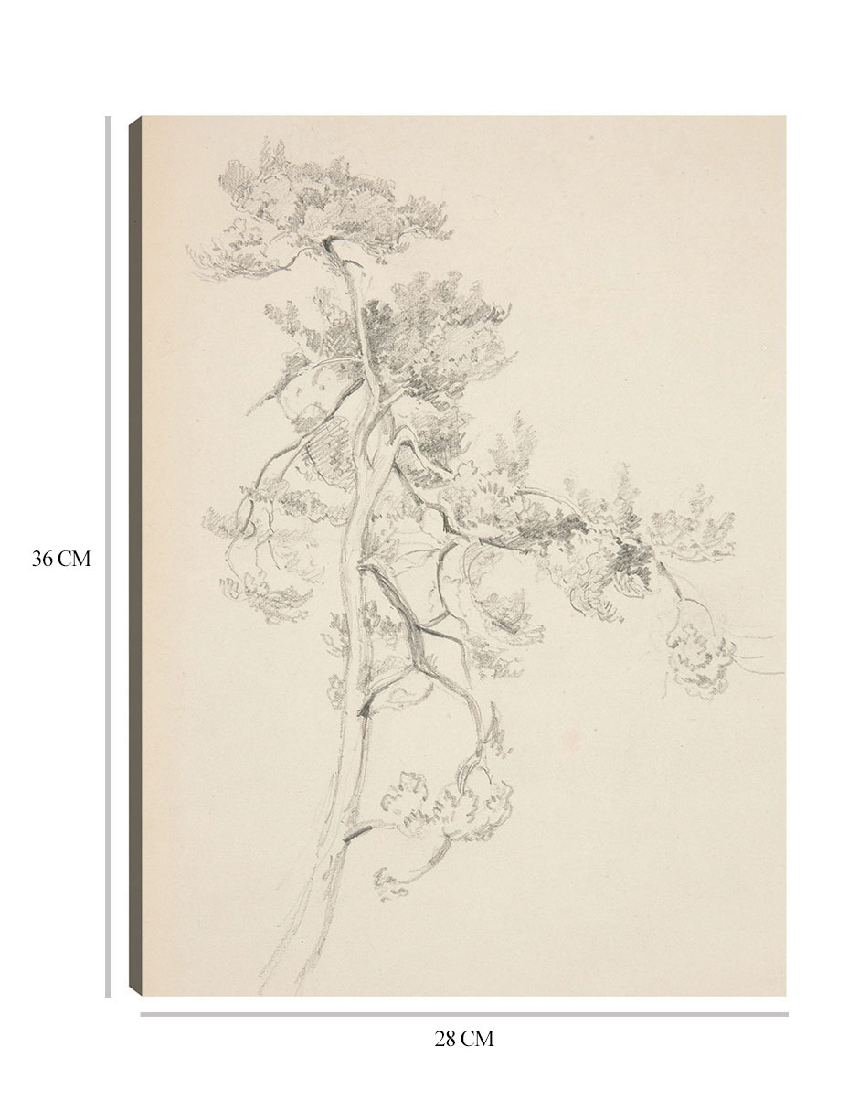 Foto 7 pulgar | Cuadro Decorativo - Árbol Y Follaje- John Singer Sargent - Abstracto - 28x36 - Impresión En Lienzo - Fine Art Tj