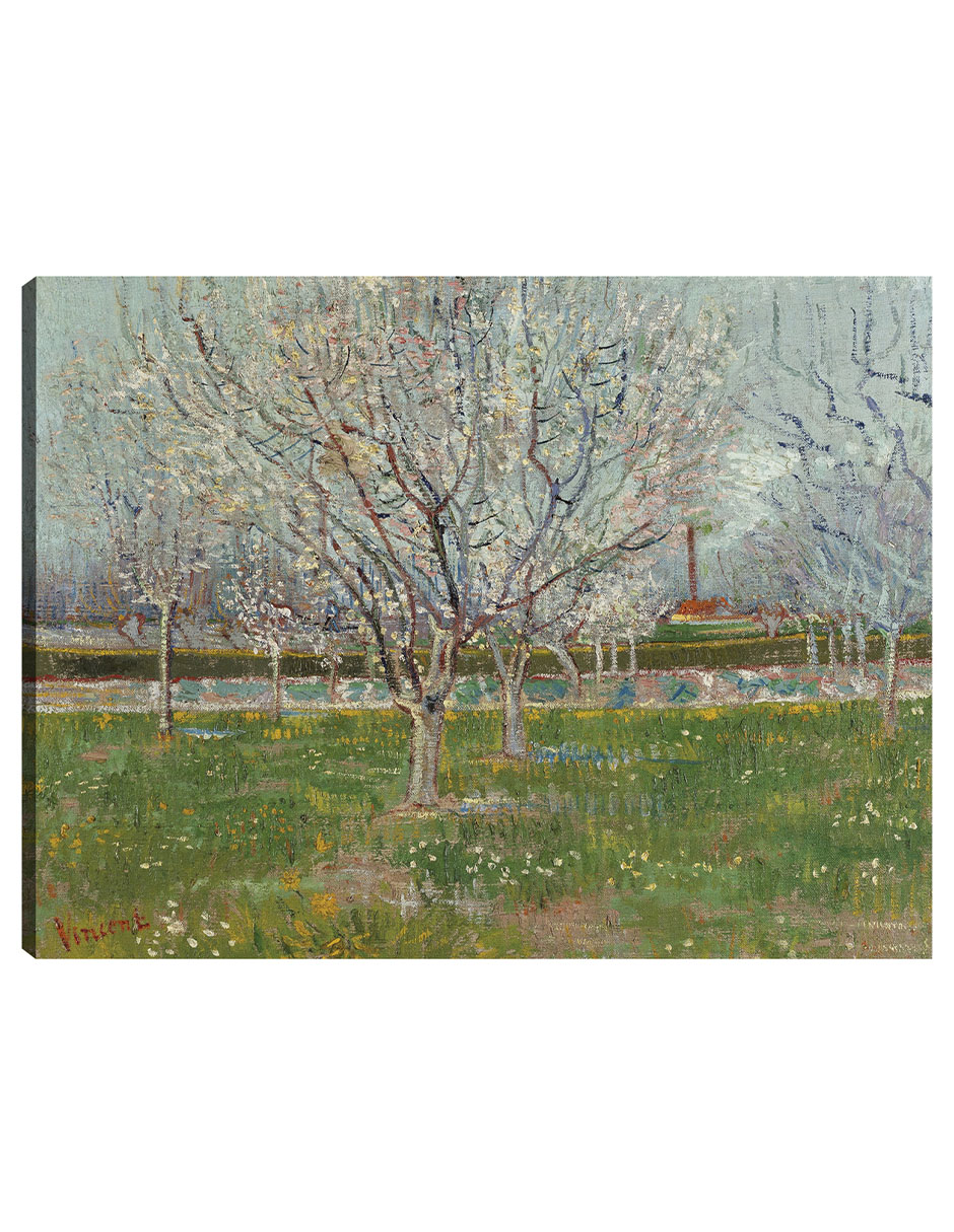 Cuadro Decorativo - Huerto En Flor (ciruelos)- Vincent Van Gogh - Paisaje - 77x102 - Impresión En Lienzo - Fine Art Tj