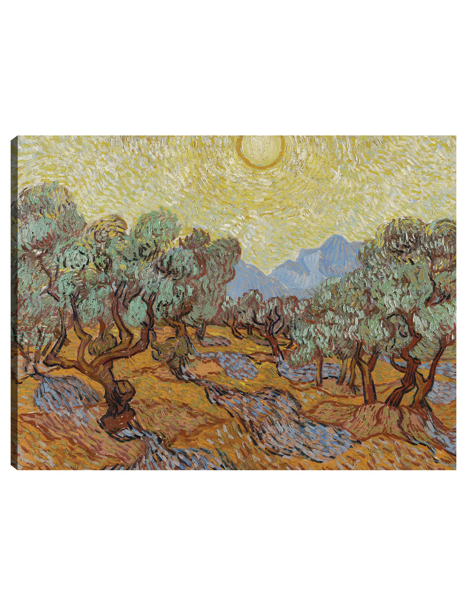 Cuadro Decorativo - Olivos (1889)- Vincent Van Gogh - Paisaje - 46x61 - Impresión En Lienzo - Fine Art Tj