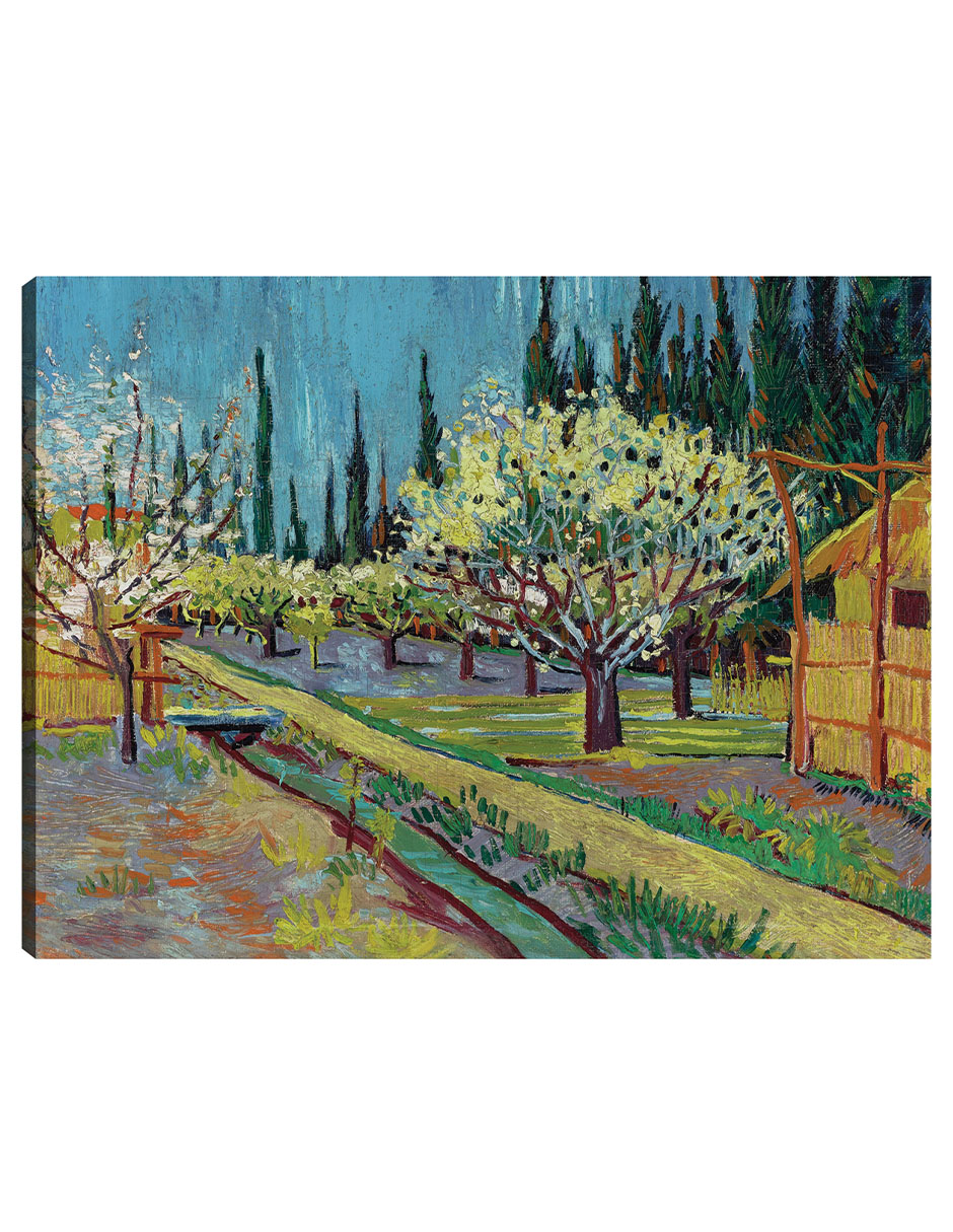 Cuadro Decorativo - Huerto Bordeado De Cipreses (1888)- Vincent Van Gogh - Paisaje - 107x143 - Impresión En Lie