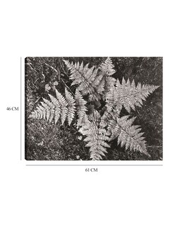 Foto 6 | Cuadro Decorativo - En El Parque Nacional Glacier, Montana- Ansel Adams - Religión - 46x61 - Impresión En Lienzo