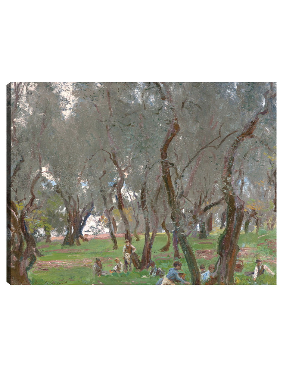 Cuadro Decorativo - El Olivar (1910)- John Singer Sargent - Paisaje - 77x102 - Impresión En Lienzo - Fine Art Tj