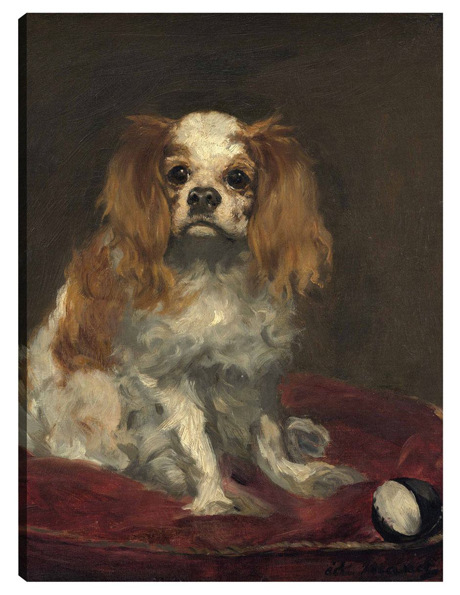 Cuadro Decorativo - Un Rey Charles Spaniel- Edouard Manet - Animales - 77x102 - Impresión En Lienzo - Fine Art Tj