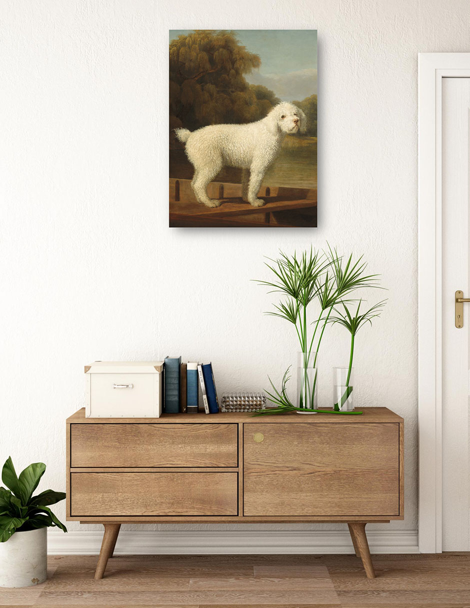 Foto 4 pulgar | Cuadro Decorativo - Caniche Blanco En Una Batea, C. 1780- George Stubbs - Animales - 69x92 - Impresión En Lienzo