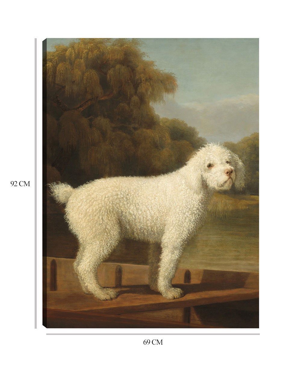 Foto 7 pulgar | Cuadro Decorativo - Caniche Blanco En Una Batea, C. 1780- George Stubbs - Animales - 69x92 - Impresión En Lienzo