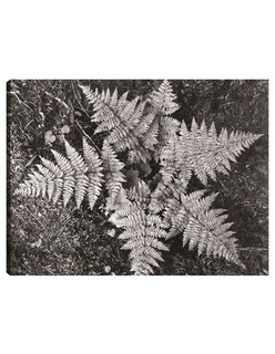 Foto 1 | Cuadro Decorativo - En El Parque Nacional Glacier, Montana- Ansel Adams - Religión - 69x92 - Impresión En Lienzo