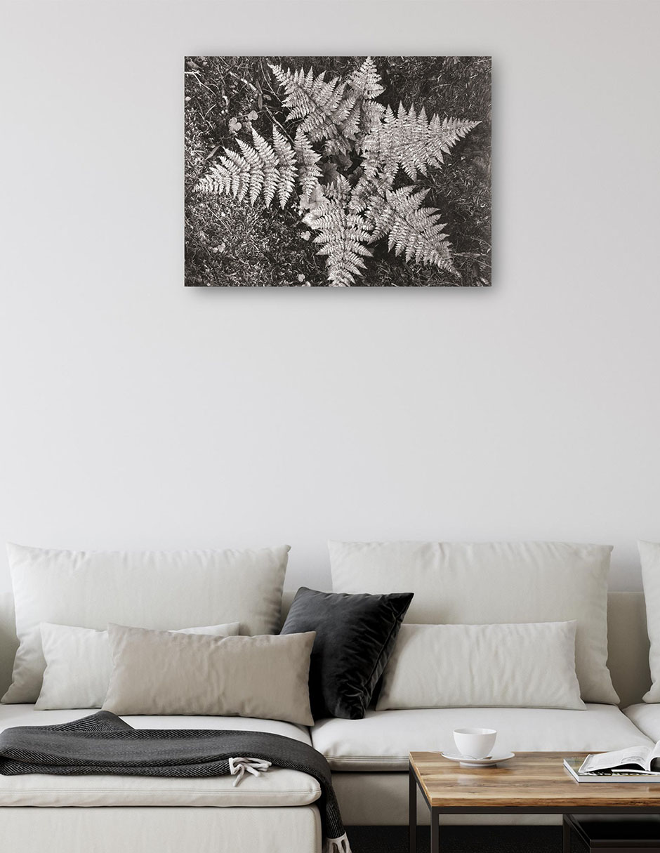 Foto 5 | Cuadro Decorativo - En El Parque Nacional Glacier, Montana- Ansel Adams - Religión - 69x92 - Impresión En Lienzo