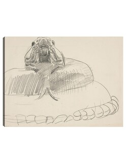 Foto 1 | Cuadro Decorativo - Serpiente De Cascabel- John Singer Sargent - Fotografía - 46x61 - Impresión En Lienzo - Fine Art Tj