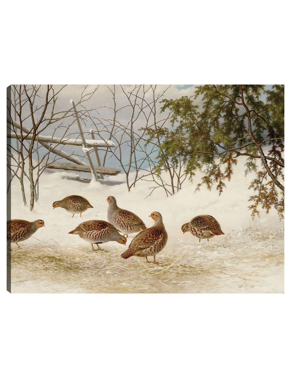 Cuadro Decorativo - Perdices En La Nieve (1895)- Ferdinand Von Wright - Religión - 28x36 - Impresión En Lienzo - F