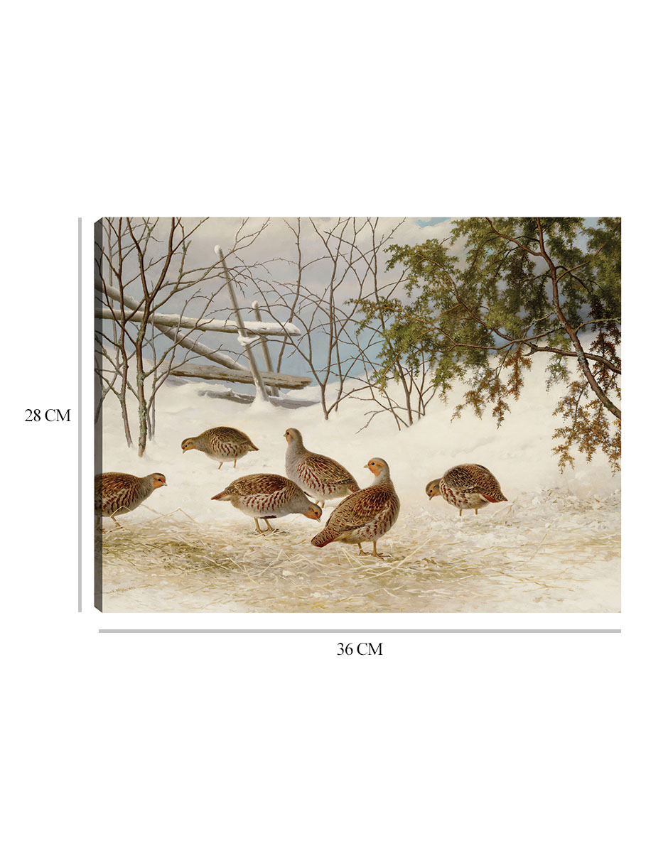 Foto 6 | Cuadro Decorativo - Perdices En La Nieve (1895)- Ferdinand Von Wright - Religión - 28x36 - Impresión En Lienzo - F