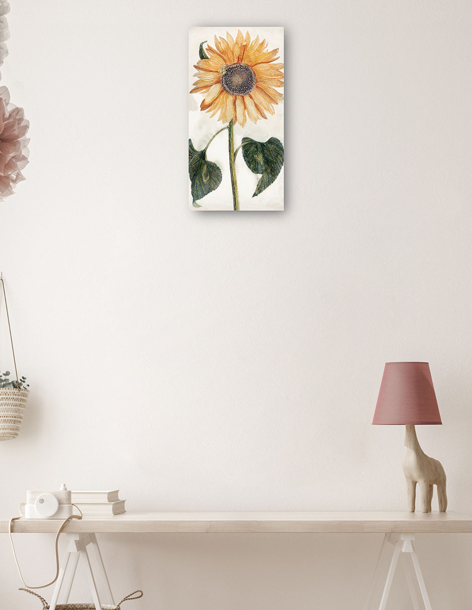 Foto 4 pulgar | Cuadro Decorativo - Girasol (1688-1698)- Johan Teyler - Floral - 46x89 - Impresión En Lienzo - Fine Art Tj