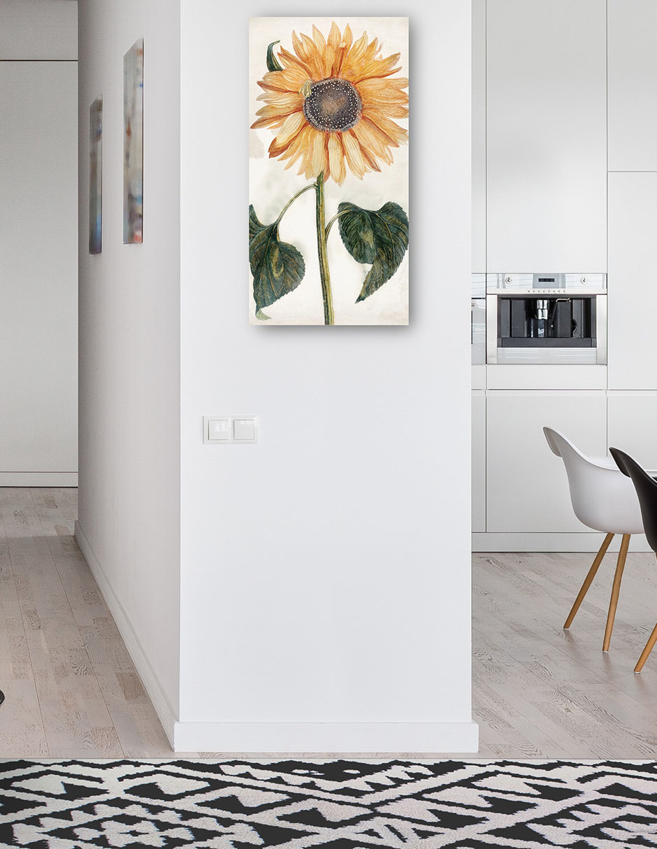 Foto 5 pulgar | Cuadro Decorativo - Girasol (1688-1698)- Johan Teyler - Floral - 46x89 - Impresión En Lienzo - Fine Art Tj