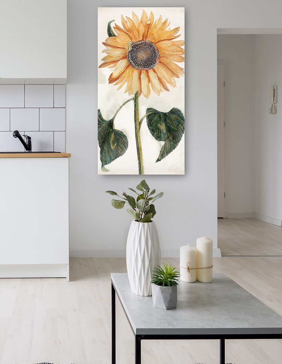 Foto 6 pulgar | Cuadro Decorativo - Girasol (1688-1698)- Johan Teyler - Floral - 46x89 - Impresión En Lienzo - Fine Art Tj