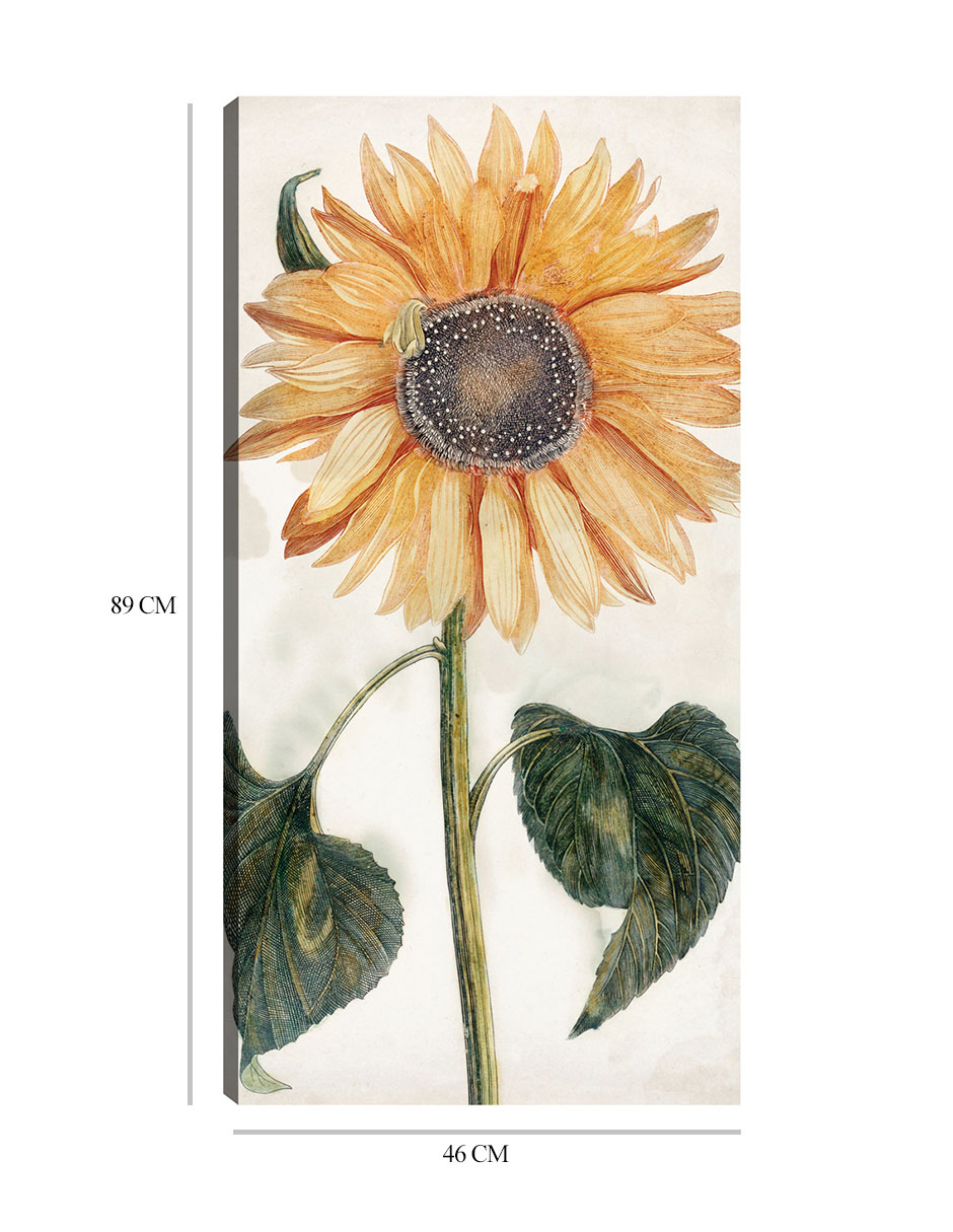 Foto 7 pulgar | Cuadro Decorativo - Girasol (1688-1698)- Johan Teyler - Floral - 46x89 - Impresión En Lienzo - Fine Art Tj