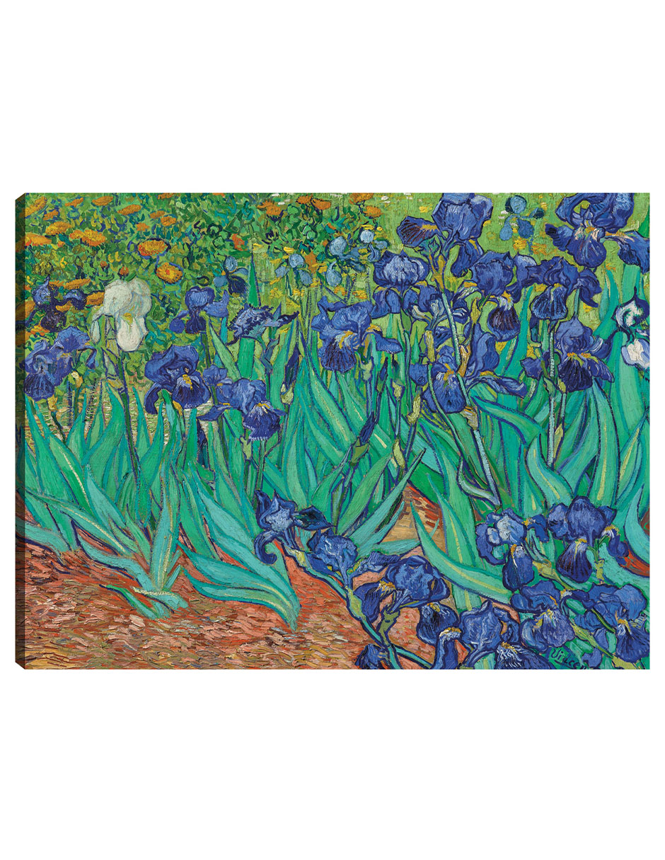 Cuadro Decorativo - Iris (1889)- Vincent Van Gogh - Floral - 28x36 - Impresión En Lienzo - Fine Art Tj
