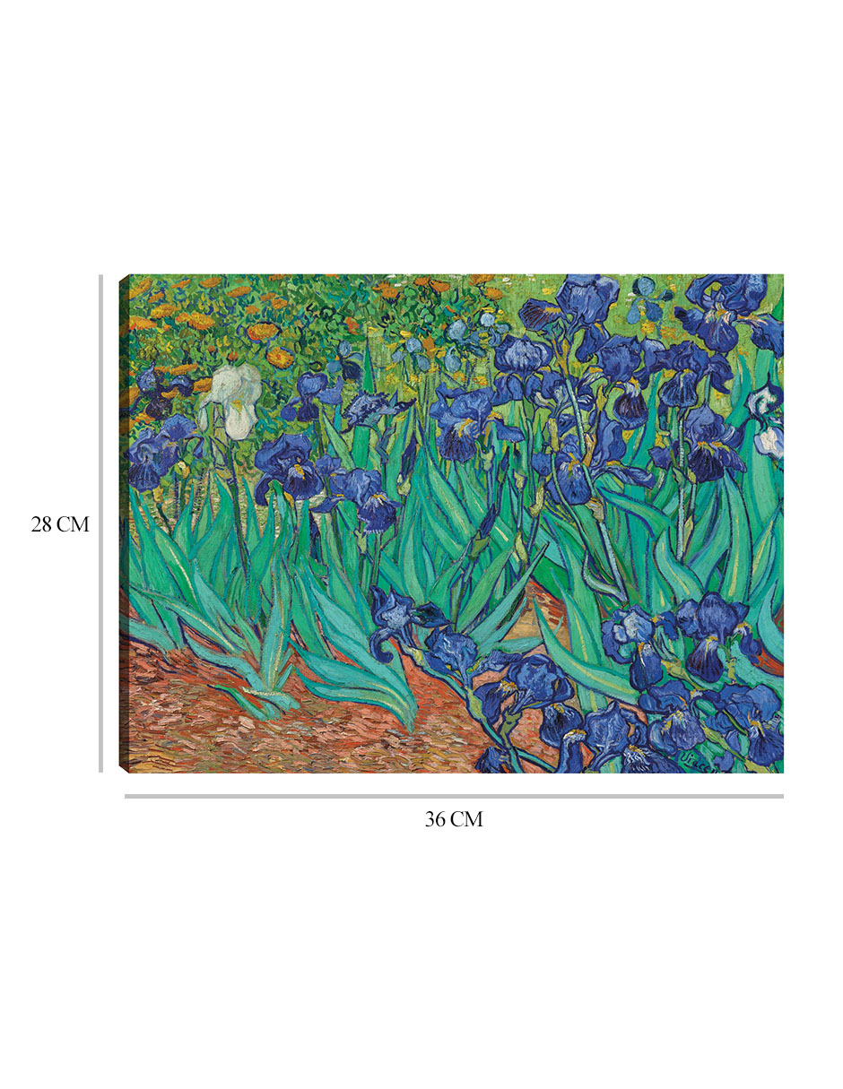 Foto 7 pulgar | Cuadro Decorativo - Iris (1889)- Vincent Van Gogh - Floral - 28x36 - Impresión En Lienzo - Fine Art Tj