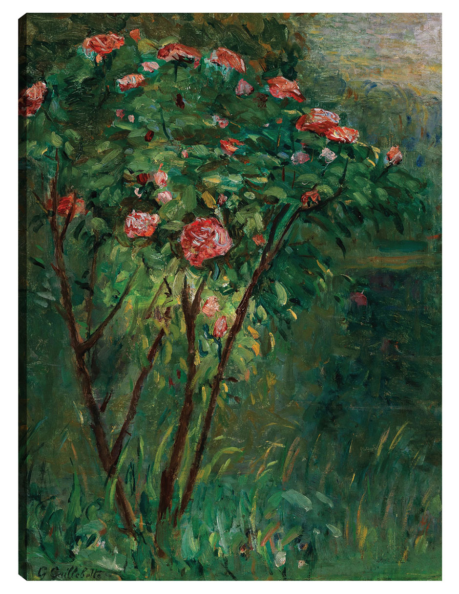Cuadro Decorativo - El Rosal En Flor (c. 1884-1885)- Gustave Caillebotte - Floral - 46x61 - Impresión En Lienzo -
