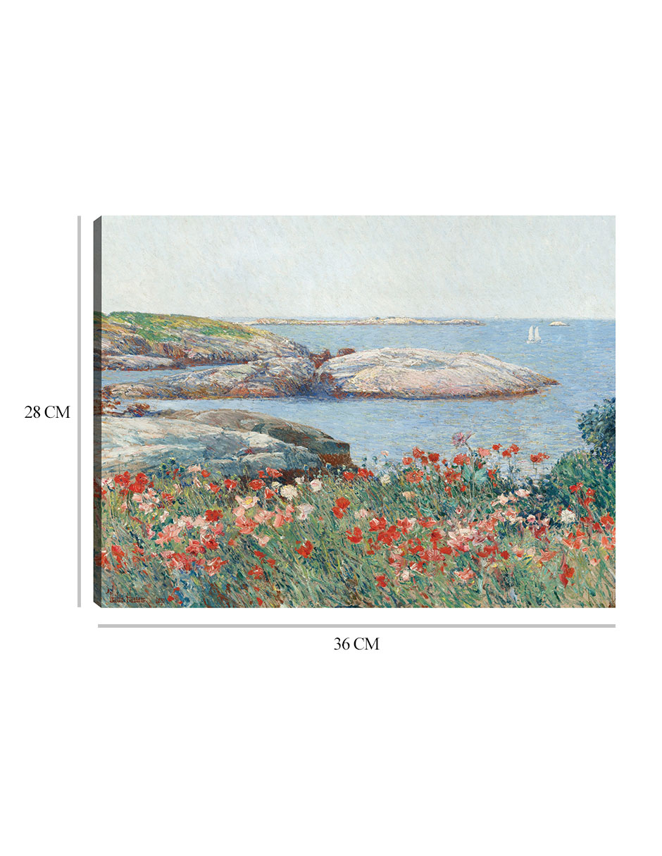 Foto 7 pulgar | Cuadro Decorativo - Amapolas, Isles Of Shoals, 1891- Childe Hassam - Costa - 28x36 - Impresión En Lienzo - Fine Art Tj
