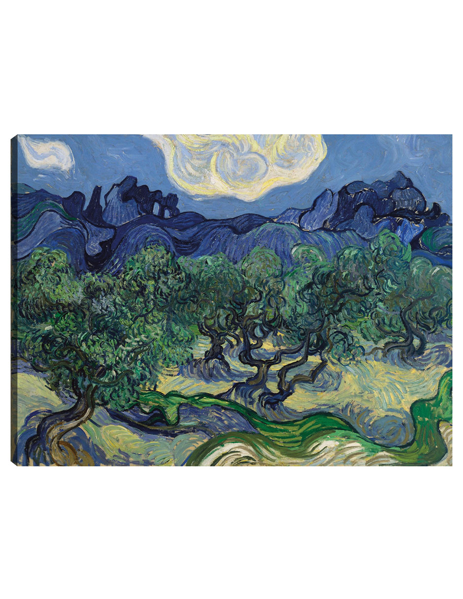 Cuadro Decorativo - Los Olivos- Vincent Van Gogh - Paisaje - 46x61 - Impresión En Lienzo - Fine Art Tj