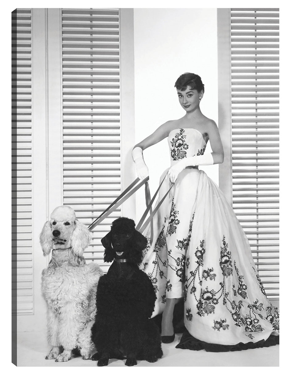 Cuadro Decorativo - Audrey Hepburn En Sabrina (1954)- Unknown - Fotografía - 28x36 - Impresión En Lienzo - Fine Art Tj