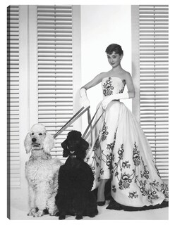 Foto 1 | Cuadro Decorativo - Audrey Hepburn En Sabrina (1954)- Unknown - Fotografía - 28x36 - Impresión En Lienzo - Fine Art Tj