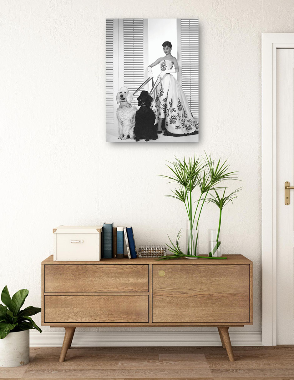 Foto 4 pulgar | Cuadro Decorativo - Audrey Hepburn En Sabrina (1954)- Unknown - Fotografía - 28x36 - Impresión En Lienzo - Fine Art Tj