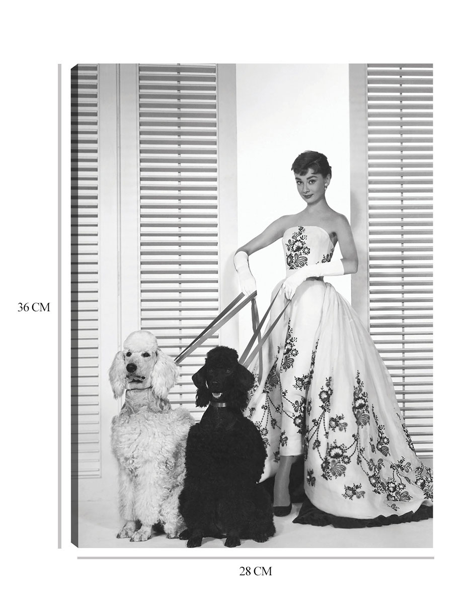 Foto 7 pulgar | Cuadro Decorativo - Audrey Hepburn En Sabrina (1954)- Unknown - Fotografía - 28x36 - Impresión En Lienzo - Fine Art Tj