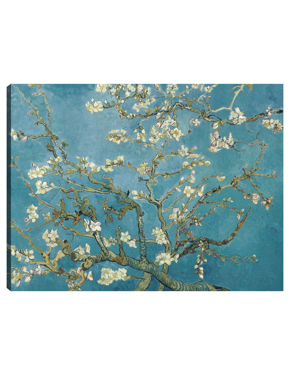 Cuadro Decorativo - Flor De Almendro (c.1890)- Vincent Van Gogh - Floral - 77x102 - Impresión En Lienzo - Fine Art Tj