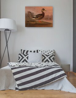 Foto 3 | Cuadro Decorativo - Ánade Real (1848)- Ferdinand Von Wright - Religión - 46x61 - Impresión En Lienzo - Fine Art Tj
