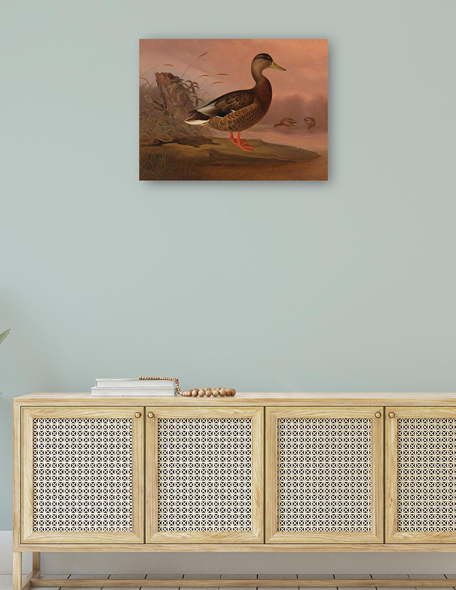 Foto 5 pulgar | Cuadro Decorativo - Ánade Real (1848)- Ferdinand Von Wright - Religión - 46x61 - Impresión En Lienzo - Fine Art Tj