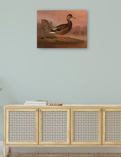 Foto 4 | Cuadro Decorativo - Ánade Real (1848)- Ferdinand Von Wright - Religión - 46x61 - Impresión En Lienzo - Fine Art Tj