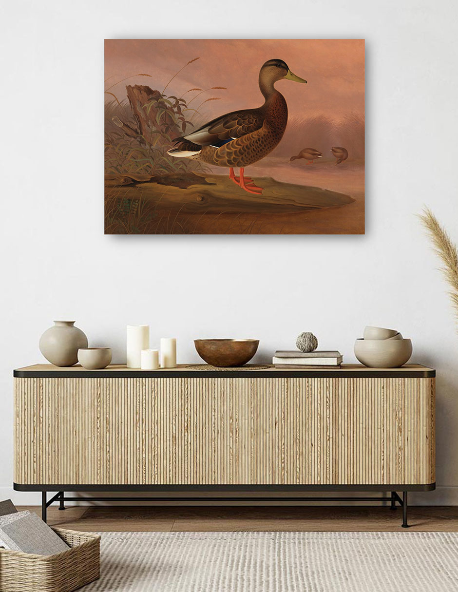 Foto 6 pulgar | Cuadro Decorativo - Ánade Real (1848)- Ferdinand Von Wright - Religión - 46x61 - Impresión En Lienzo - Fine Art Tj
