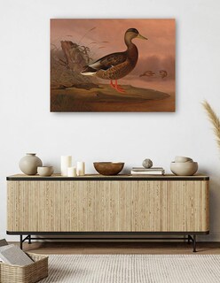 Foto 5 | Cuadro Decorativo - Ánade Real (1848)- Ferdinand Von Wright - Religión - 46x61 - Impresión En Lienzo - Fine Art Tj