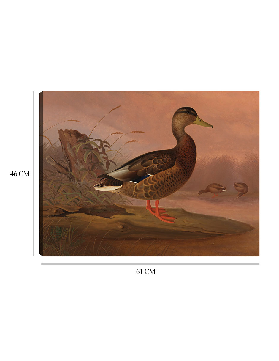 Foto 7 pulgar | Cuadro Decorativo - Ánade Real (1848)- Ferdinand Von Wright - Religión - 46x61 - Impresión En Lienzo - Fine Art Tj